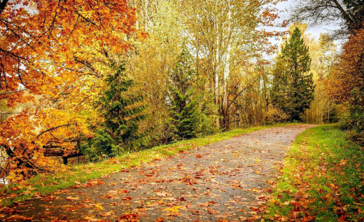 1271460 (a): :1920x1170
